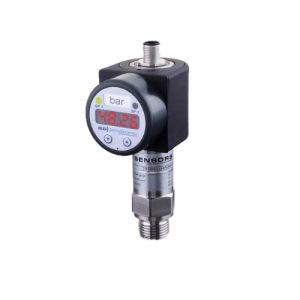 BD Sensors DS201